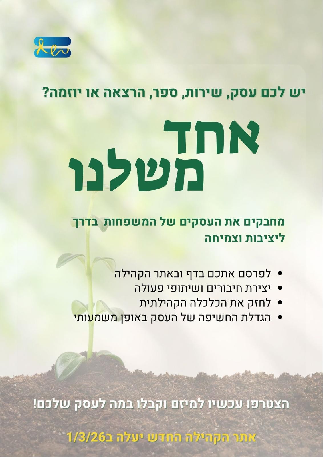 אודי גורן