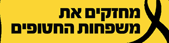 הרצאה