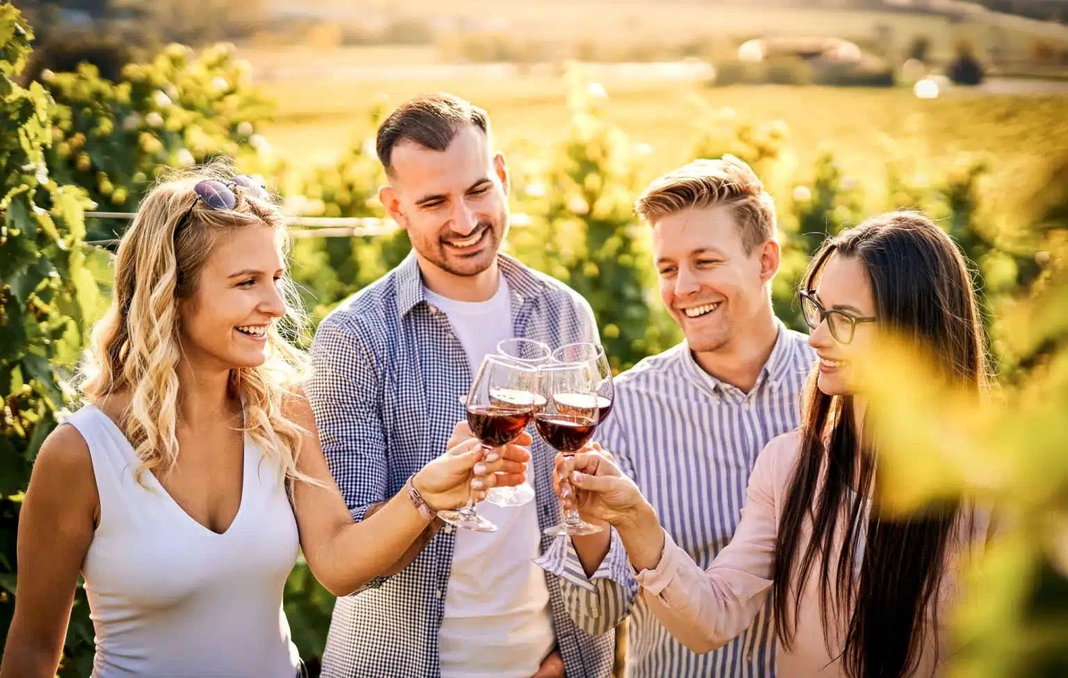 Winekart סדנאות יין
